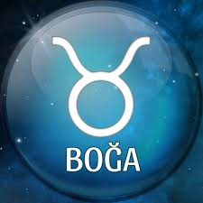 Boğa